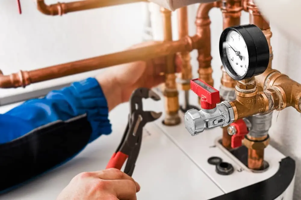 Gas Leak Detection in Strawberry