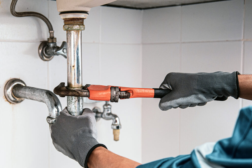 Leak Detection in Strawberry