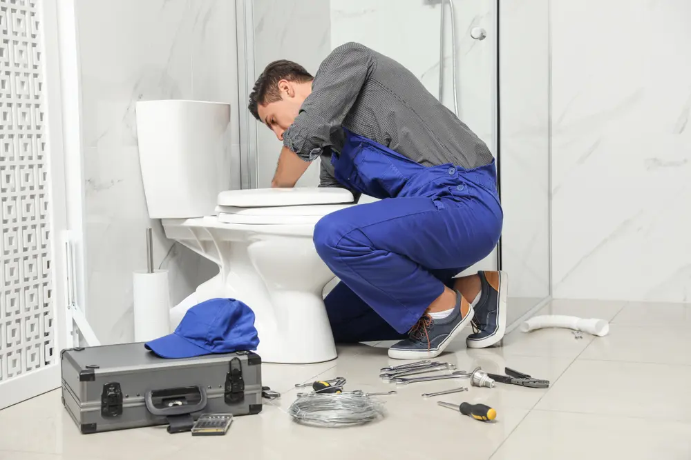 Toilet Installation in Strawberry
